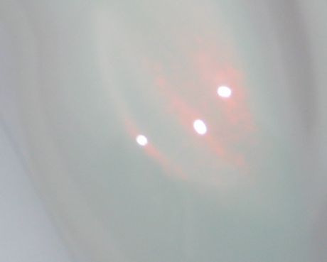 Garnet Red Snow White